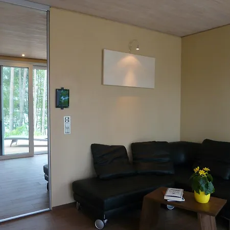 Ferienhaus Luxus-ferienhaus Direkt Am See, Naturnaher Komfort In Modernem Stil Lychen